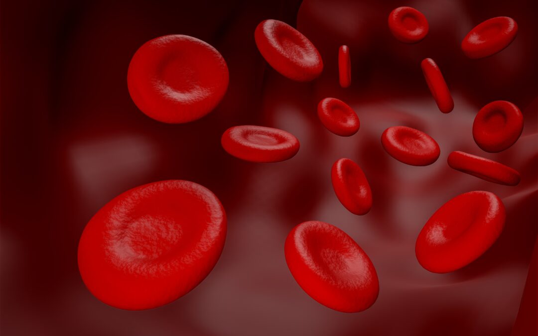Darum zur Blutuntersuchung! – Dr. Eduard Karsten erklärt